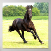 Poster van galoping (Voorkant)