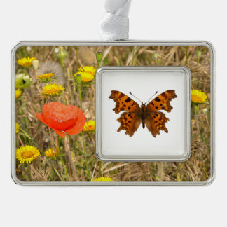 Poster van geïsoleerd Briefkaart van vlindervlinde Verzilverd Kader Ornament
