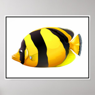 Poster van gestripte vis