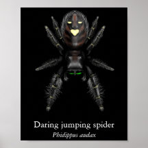 Poster van gewaagde springspin (halfglans)