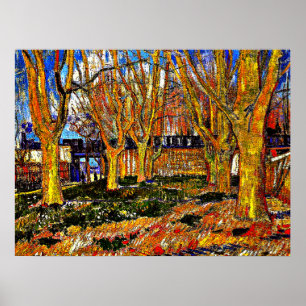Poster Van Gogh - Allée de platanes