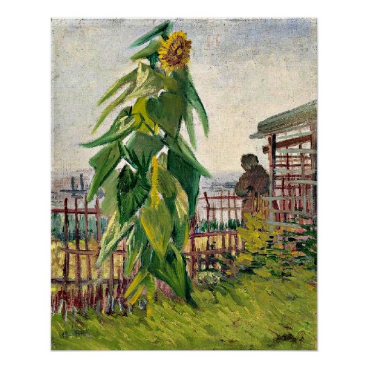 Poster Van Gogh - Allotissement avec tournesol (Devant)
