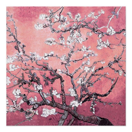Poster Van Gogh Almond Blossom pêche rose (Devant)