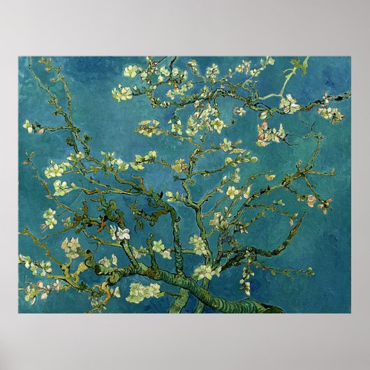 Poster Van Gogh Almond Blossoms (Devant)