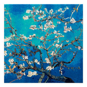 Poster Van Gogh Almond Blossoms bleu turquoise