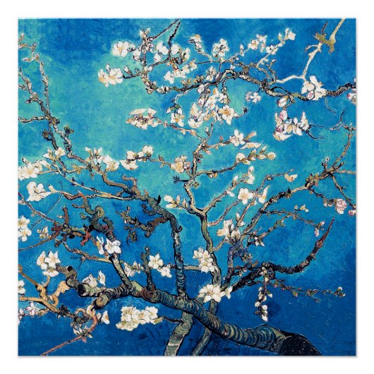 Poster Van Gogh Almond Blossoms bleu turquoise (Devant)