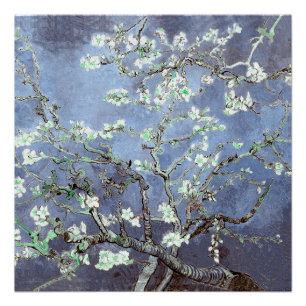 Poster Van Gogh Almond Blossoms en acier bleu