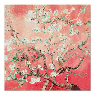 Poster Van Gogh Almond Blossoms pêche