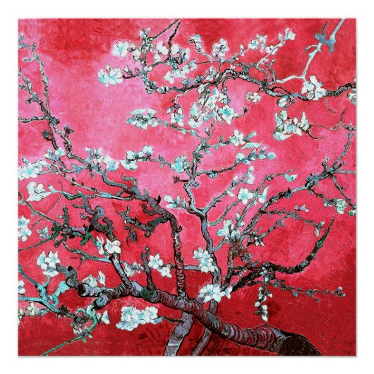 Poster Van Gogh Almond Blossoms Rouge bleu (Devant)