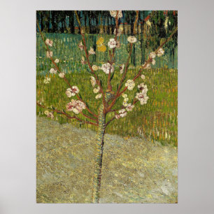 Poster Van Gogh - Amandier En Fleurs