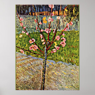 Poster Van Gogh - Arbre aux amandes en Blossom, oeuvre po