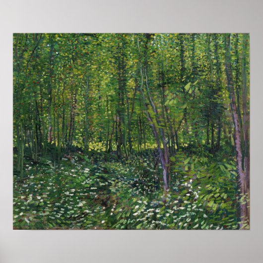 Poster Van Gogh - Arbres et sous-bois (Devant)
