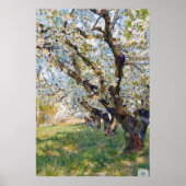 Poster Van Gogh Blossoming Apricot Trees (Devant)