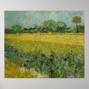 Poster Van Gogh - Champ Avec Fleurs À Arles
