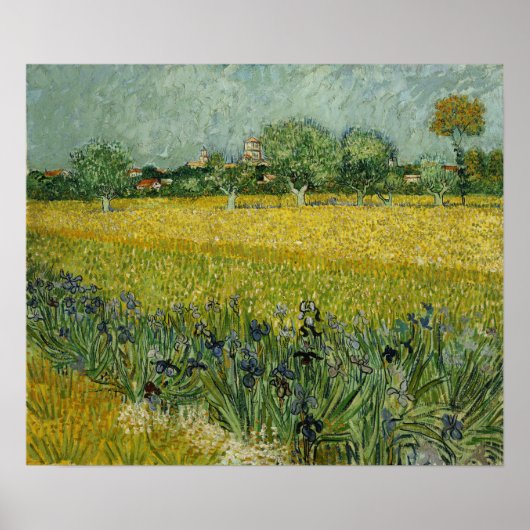 Poster Van Gogh - Champ de fleurs à Arles (Devant)