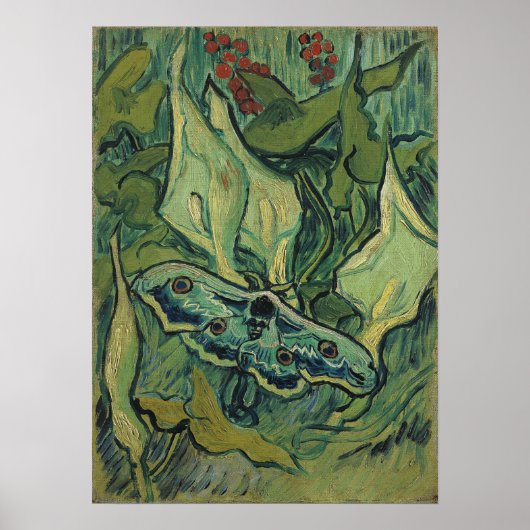 Poster Van Gogh - Empereur Moth (Devant)