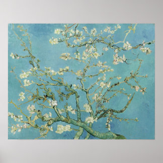 Poster Van Gogh - Fleur d'amandes