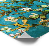 Poster Van Gogh Florssoming Almond Tree (F671) Art (Coin)