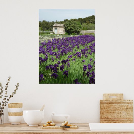 POSTER - Van Gogh Iris (Keuken)