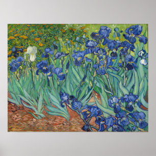 Poster Van Gogh - Iris