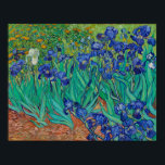 Poster Van Gogh Irises<br><div class="desc">Vincent Van Gogh (30 mars 1853 - 29 juillet 1890) était un peintre postimpressionniste hollandais influent. Cette oeuvre s'appelle Irises.</div>