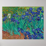 Poster Van Gogh Irises<br><div class="desc">Vincent Van Gogh (30 mars 1853 - 29 juillet 1890) était un peintre postimpressionniste hollandais influent. Cette oeuvre s'appelle Irises.</div>