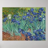 Poster Van Gogh - Irises (Devant)