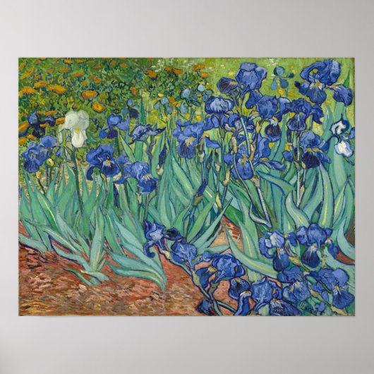 Poster Van Gogh - Irises (Devant)