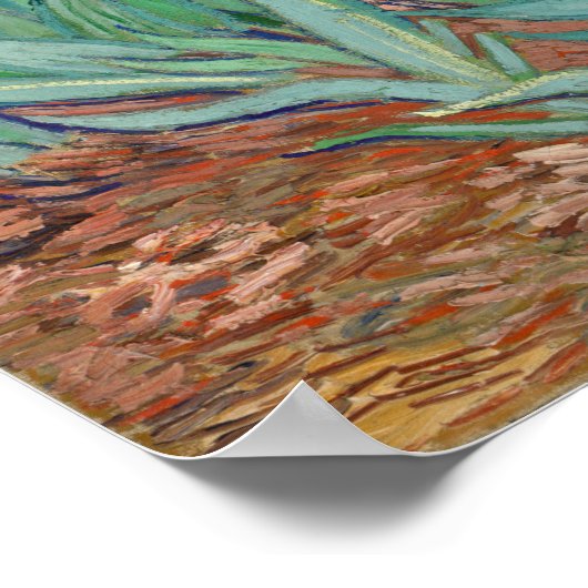 Poster Van Gogh - Irises (Coin)