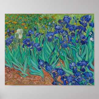 Poster van Gogh - Irises (1889)