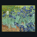 Poster Van Gogh Irises, Art Post impressionnisme Vintage<br><div class="desc">Van Gogh Irises, Poster d'Art Post impressionnisme Vintage.Irises de Vincent van Gogh est un tableau vintage de post impressionnisme paysager floral avec un bouquet d'iris violets barbus poussant dans un jardin avec une fleur d'iris blanc.Vincent Willem van Gogh était un peintre hollandais Post impressionniste dont l'oeuvre était la plus remarquable...</div>