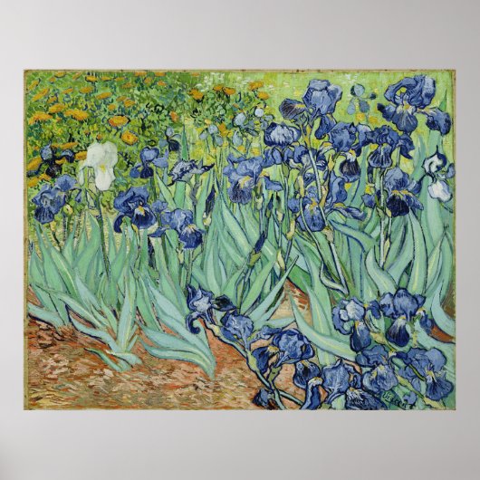 Poster Van Gogh Irises, Art Post impressionnisme Vintage (Devant)
