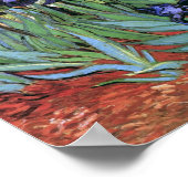 Poster Van Gogh Irises (F608) Art Vintage (Coin)