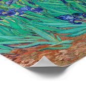 Poster Van Gogh Irises Peinture (Coin)