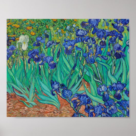 Poster Van Gogh Irises Peinture (Devant)