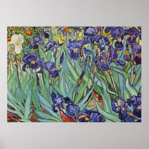 Poster Van Gogh Irises Peinture impressionniste