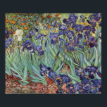 Poster Van Gogh Irises Peinture impressionniste<br><div class="desc">Vincent Van Gogh Irises à Saint Remy - Irises de Vincent Van Gogh est une magnifique peinture impressionniste réalisée par l'un des maîtres impressionnistes de tous les temps. Le jardin de l'iris tourbillonne de couleur et d'émotion, les iris violets jaillissant de leurs tiges et feuilles bleus et verts. Il y...</div>