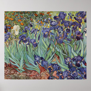 Poster Van Gogh Irises Peinture impressionniste