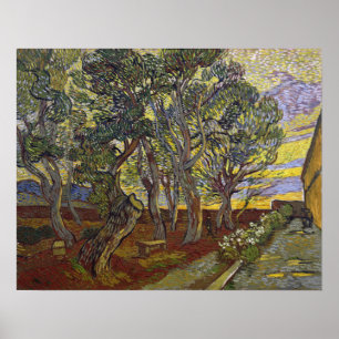 Poster Van Gogh - Le Jardin De L'Hôpital Saint Paul
