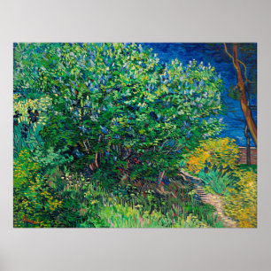 Poster Van Gogh - Lilac Bush