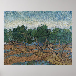 Poster Van Gogh - Olive Grove