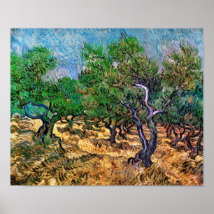 Poster Van Gogh - Olive Grove