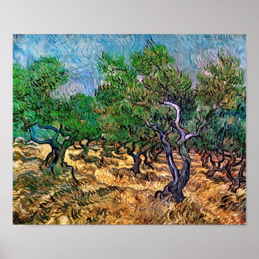 Poster Van Gogh - Olive Grove (Devant)