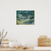 Poster Van Gogh - Olive Orchard (Cuisine)