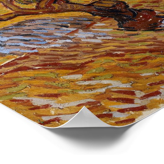 Poster Van Gogh - Oliviers (Coin)