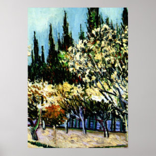 Poster Van Gogh - Orchard Entouré de Cyprès