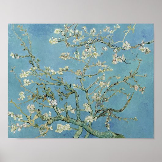 Poster Van Gogh Painage en fleurs aux amandes (Devant)