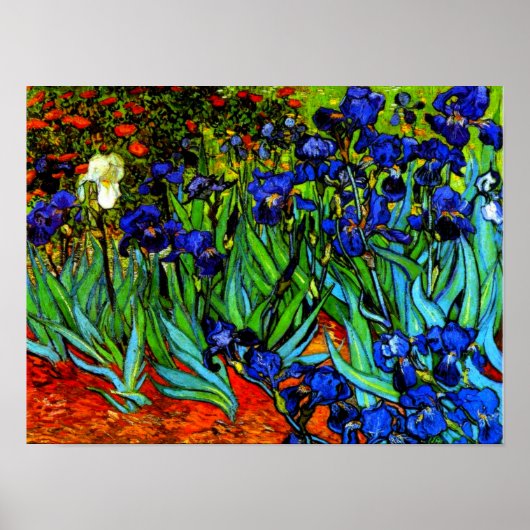 Poster Van Gogh peinture, Irises, (Devant)