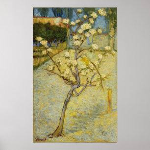 Poster Van Gogh - Poirier en fleurs