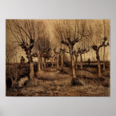 Poster Van Gogh - Pollard Birches (Devant)